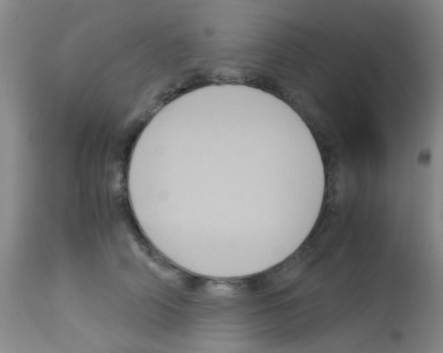 X0000113140706200910161156