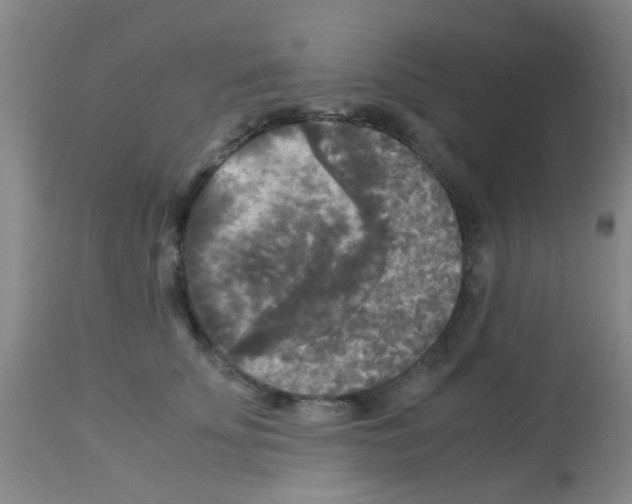 X0000113140707200910161156