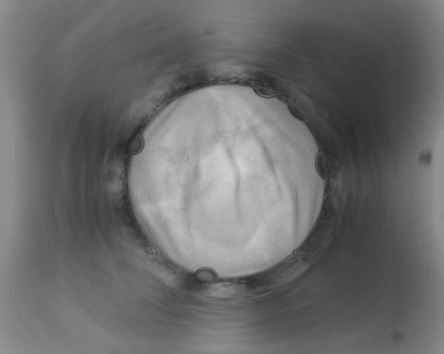 X0000113140708200910161156
