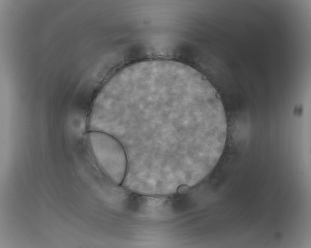 X0000113140709200910161156