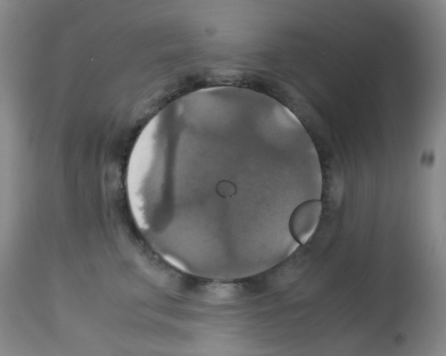 X0000113140711200910161156