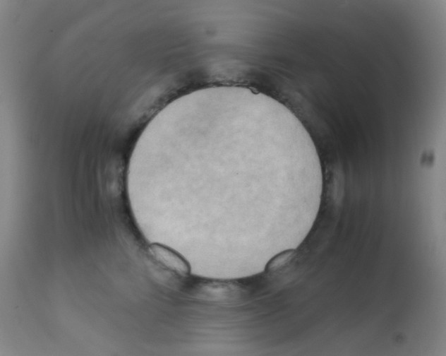 X0000113140712200910161156