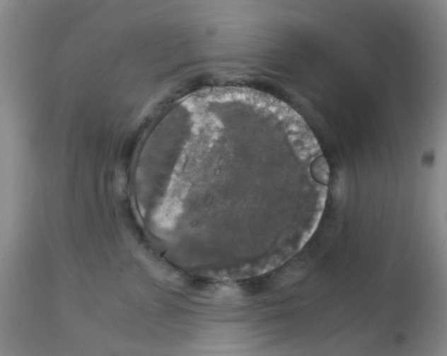 X0000113140715200910161155