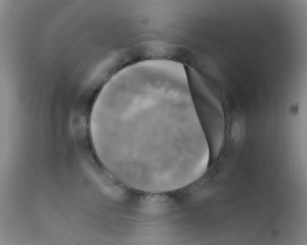 X0000113140716200910161155