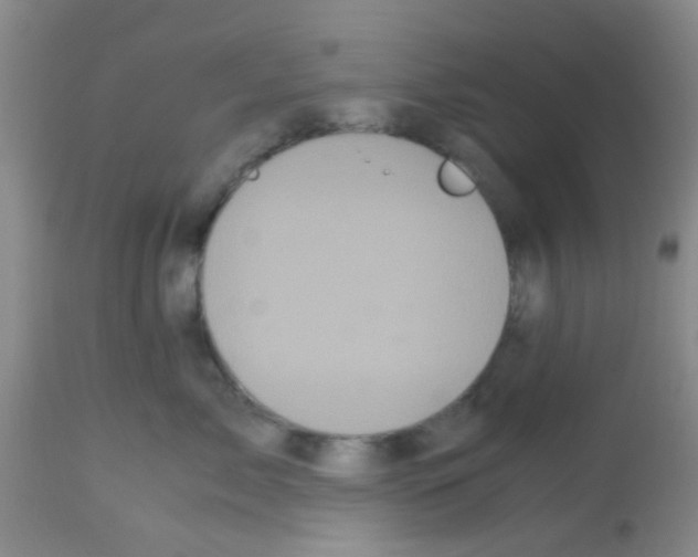 X0000113140717200910161155