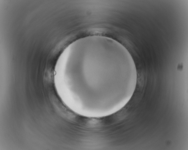 X0000113140718200910161155