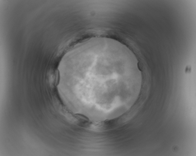 X0000113140720200910161155
