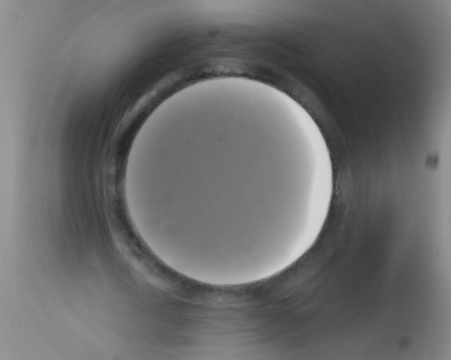 X0000113140722200910161155