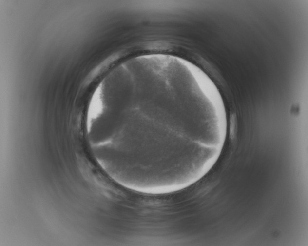 X0000113140723200910161155