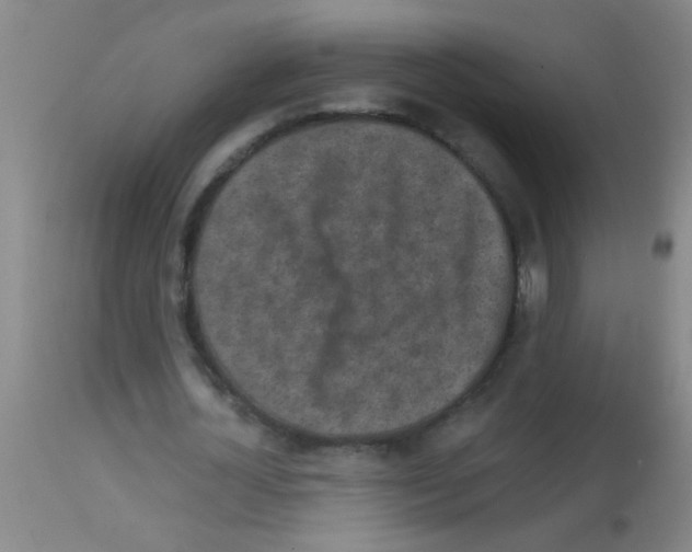 X0000113140724200910161155