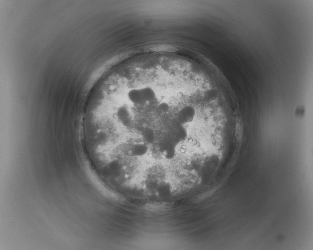 X0000113140725200910161155