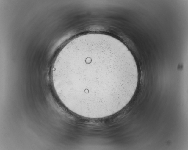 X0000113140727200910161155