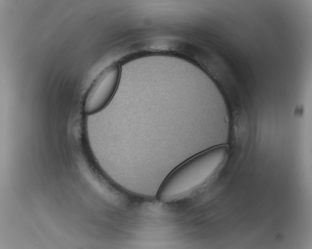 X0000113140728200910161155