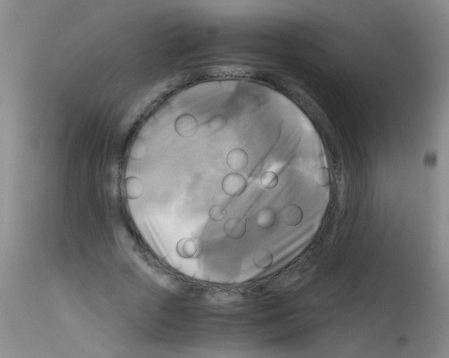 X0000113140729200910161155