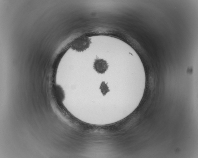X0000113140730200910161155