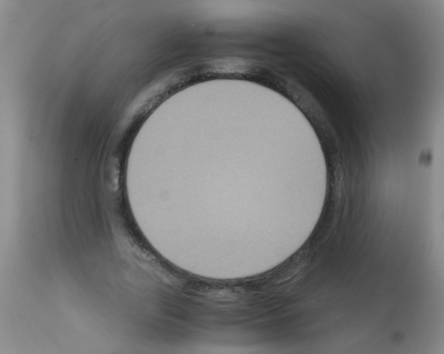 X0000113140731200910161155