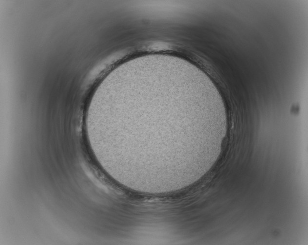 X0000113140732200910161155