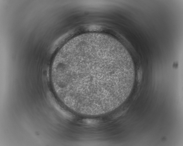 X0000113140733200910161155