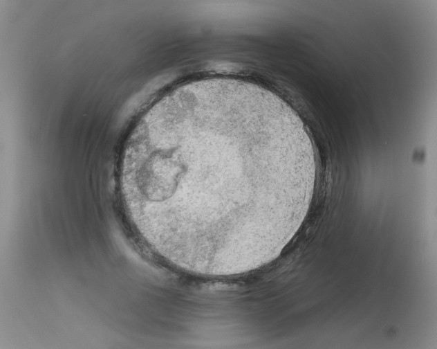 X0000113140734200910161155