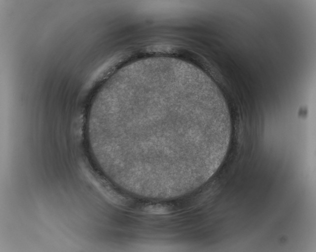 X0000113140735200910161155