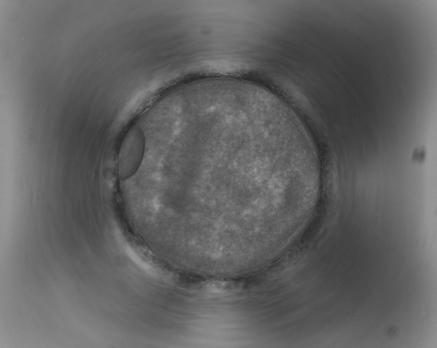 X0000113140736200910161155