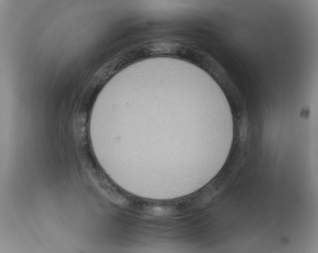 X0000113140737200910161155