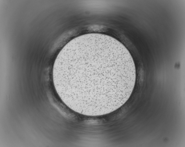 X0000113140738200910161155