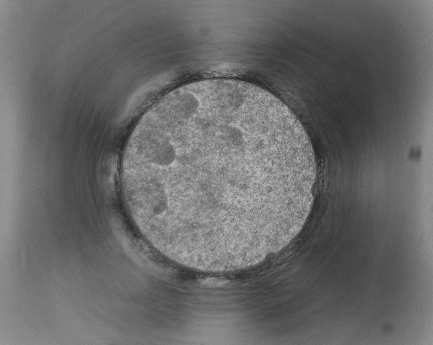X0000113140742200910161155