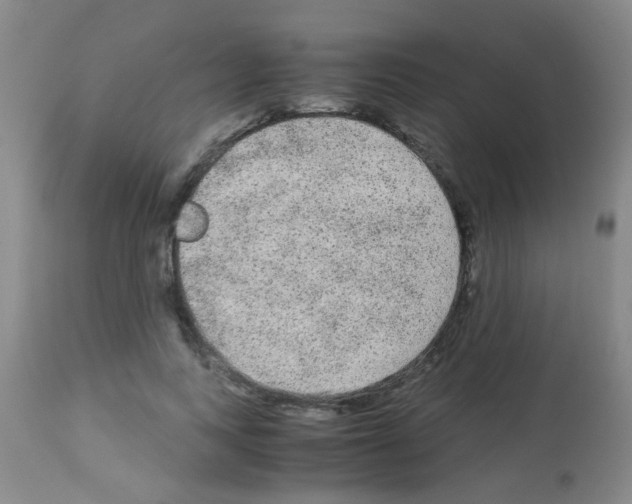 X0000113140743200910161155
