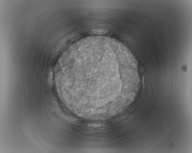 X0000113140745200910161155