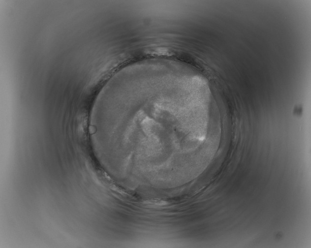 X0000113140747200910161155
