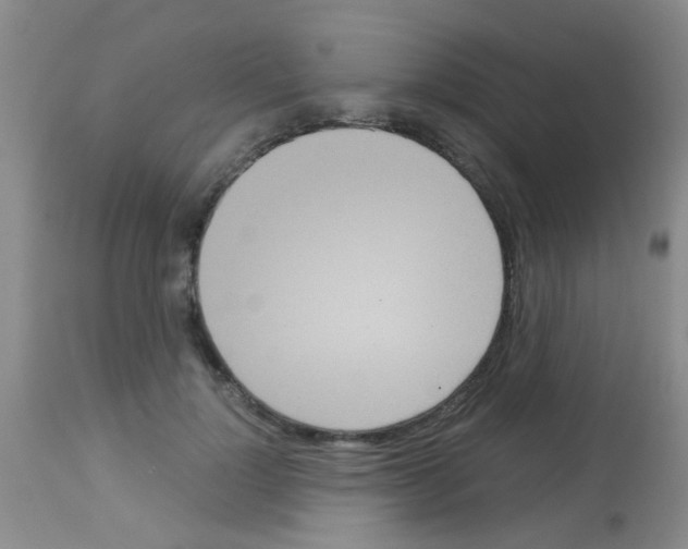 X0000113140748200910161155