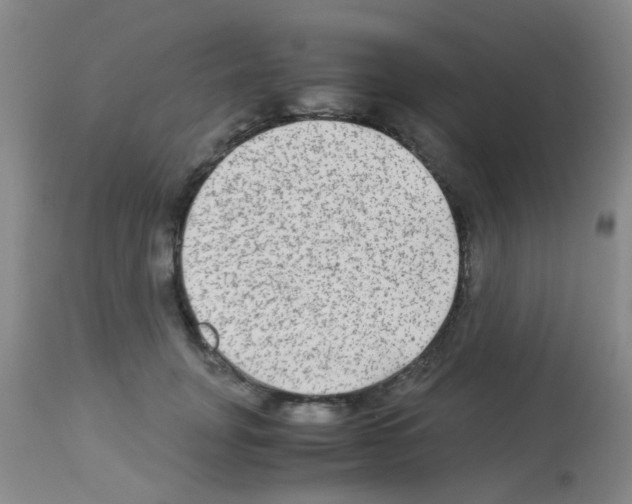 X0000113140751200910161155