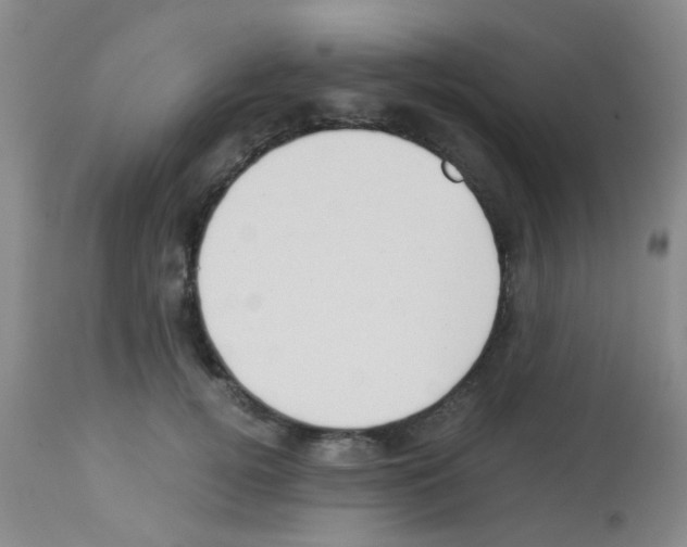 X0000113140752200910161155