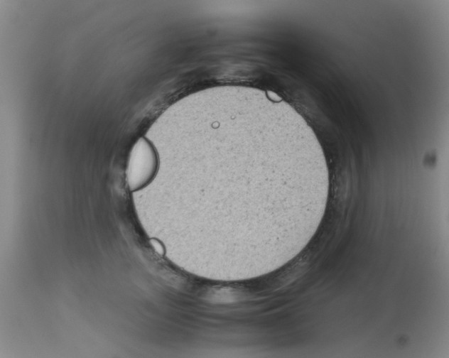 X0000113140755200910161155