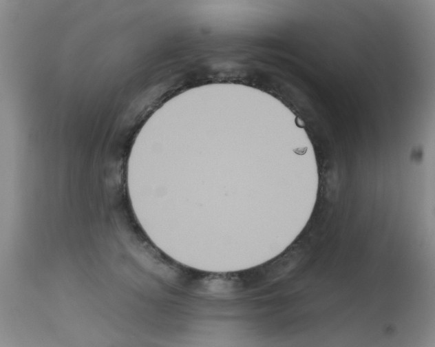 X0000113140756200910161155