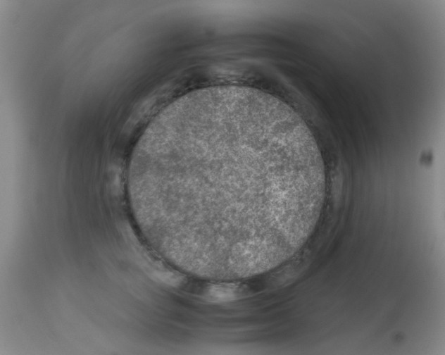 X0000113140757200910161155
