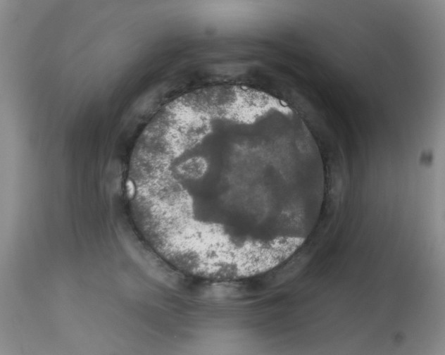 X0000113140758200910161155