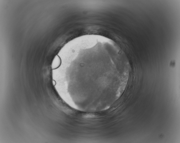 X0000113140759200910161155