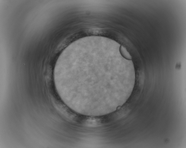 X0000113140760200910161155
