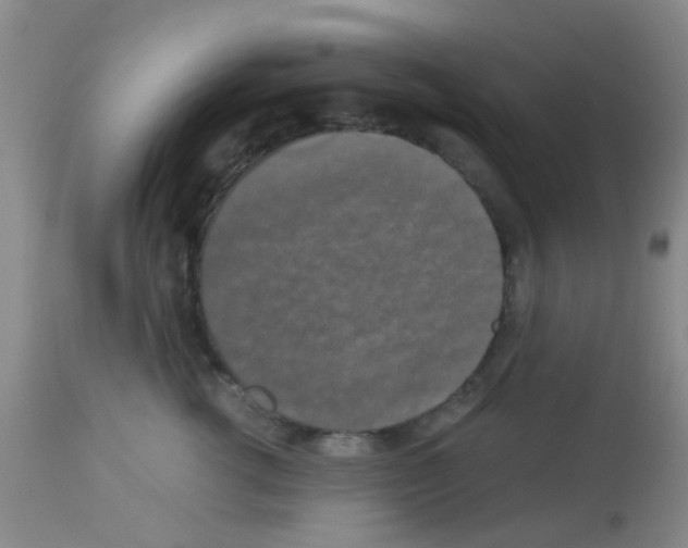 X0000113140762200910161155