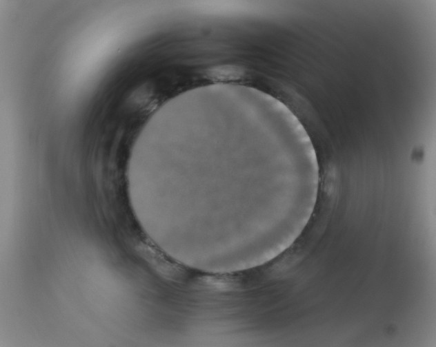 X0000113140763200910161155