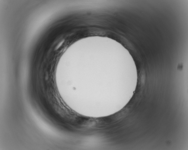 X0000113140764200910161155