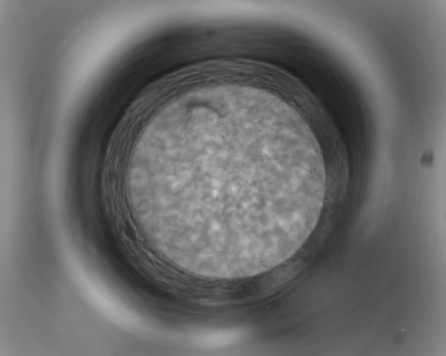 X0000113140765200910161155