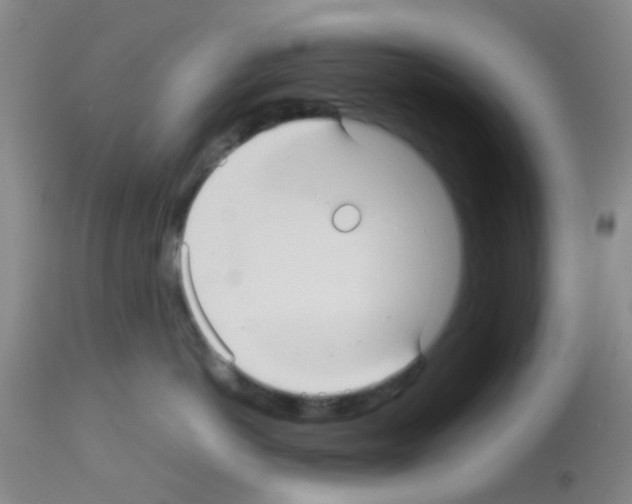 X0000113140766200910161155