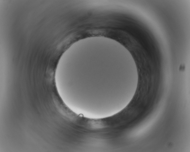 X0000113140767200910161155