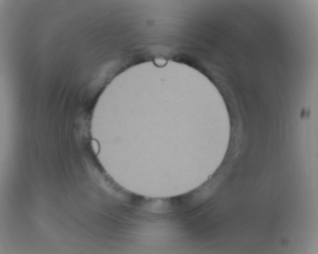 X0000113140768200910161155