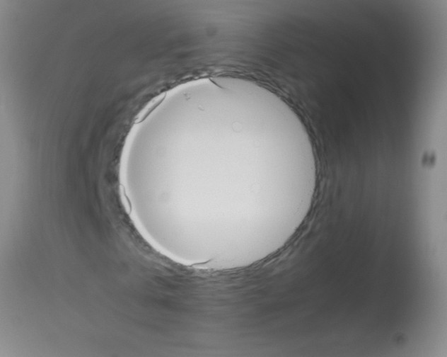 X0000113140769200910161155