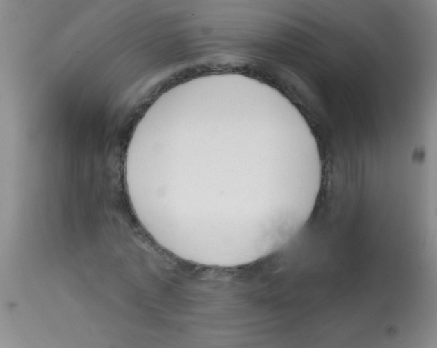 X0000113140773200910161154