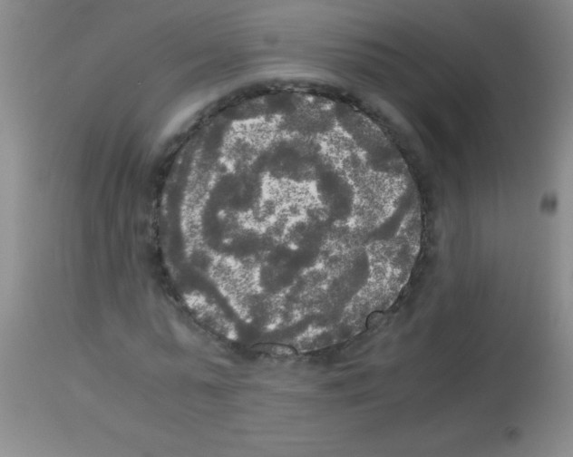X0000113140775200910161154